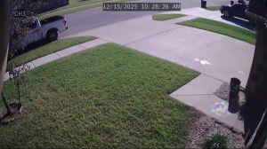 Caméra IP - United States of America