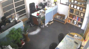 Caméra IP - Corée du Sud