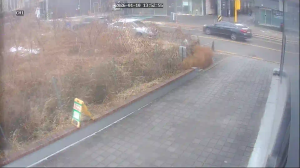 Caméra IP - South Korea