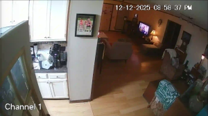 Caméra IP - Estados Unidos