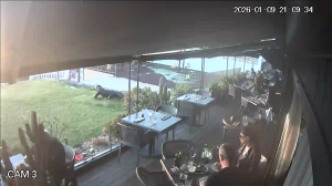 Caméra IP - Spanien