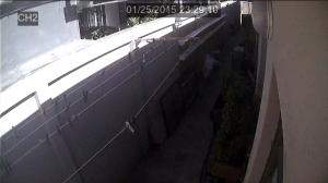 Caméra IP - South Africa