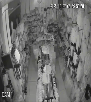 Caméra IP - Égypte