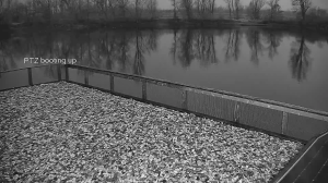 Caméra IP - Croacia