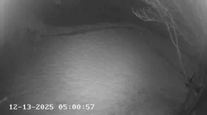 Caméra IP - Vereinigte Staaten von Amerika