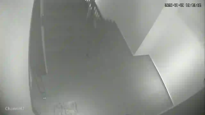 Caméra IP - Malaysia