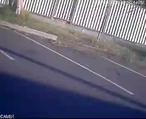 Caméra IP - Australien