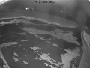 Caméra IP - United States of America