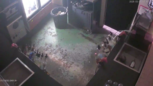 Caméra IP - Australia