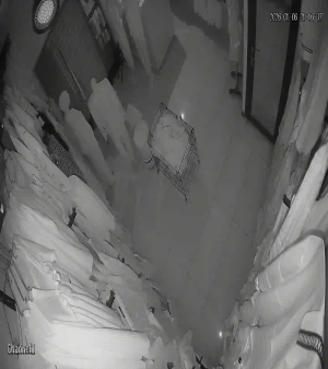 Caméra IP - Algérie