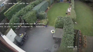 Caméra IP - Alemania