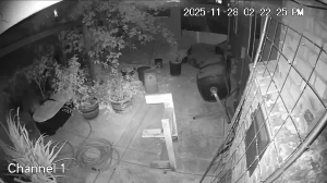 Caméra IP - Stati Uniti d'America