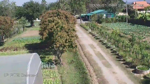 Caméra IP - Thailand