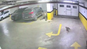 Caméra IP - Türkiye