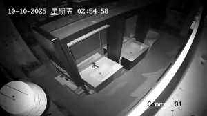 Caméra IP - China