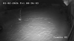 Caméra IP - Lituanie