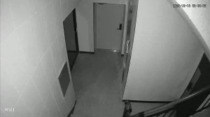 Caméra IP - South Korea