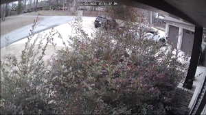 Caméra IP - Estados Unidos