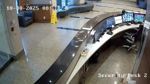 Caméra IP - Stati Uniti d'America