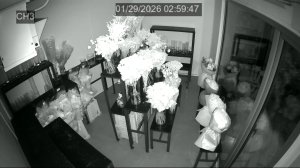 Caméra IP - Ucrania