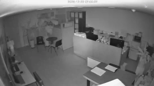 Caméra IP - Corea del Sud