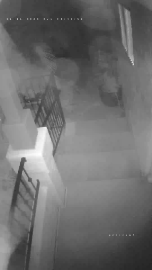 Caméra IP - États-Unis d'Amérique