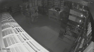 Caméra IP - Saudi Arabia