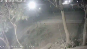 Caméra IP - Vietnam