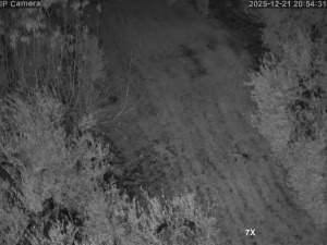 Caméra IP - España