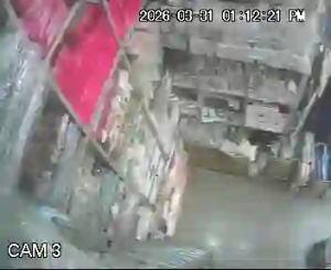 Caméra IP - Égypte