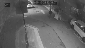 Caméra IP - South Korea