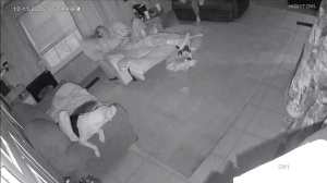 Caméra IP - États-Unis d'Amérique