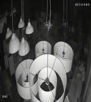 Caméra IP - Vietnam