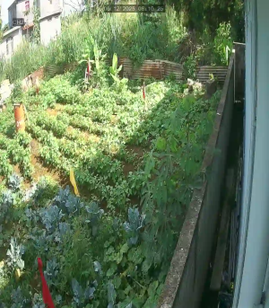 Caméra IP - Mauritius