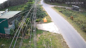 Caméra IP - Vietnam