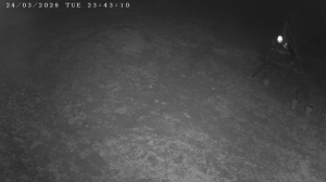 Caméra IP - Hungary