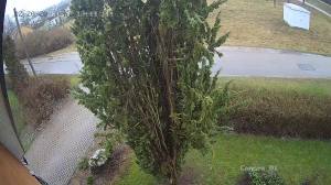 Caméra IP - Lituanie