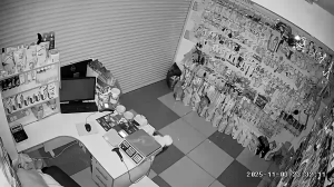 Caméra IP - Moldavia