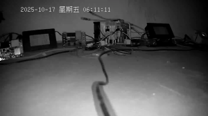 Caméra IP - Cina