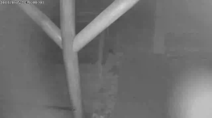 Caméra IP - Hungary