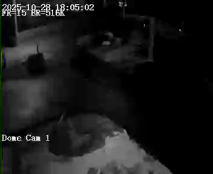 Caméra IP - Germania