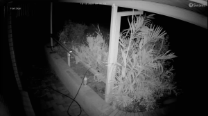 Caméra IP - Nueva Zelanda