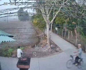 Caméra IP - Vietnam