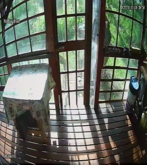 Caméra IP - Argentina