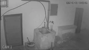 Caméra IP - Vue en direct