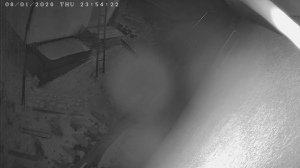 Caméra IP - Vue en direct