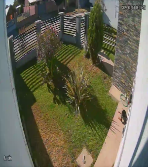 Caméra IP - Argentina