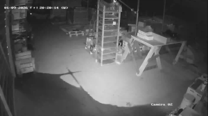 Caméra IP - Bulgarien