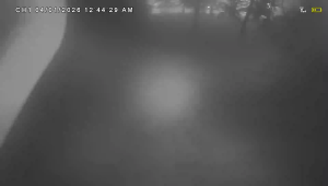 Caméra IP - United States of America