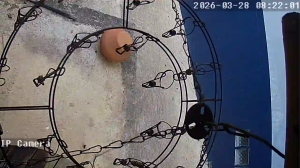 Caméra IP - Thailand